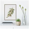 Picture of Olive Branch _GroupedProduct_Rectangle_Portrait_Canvas_Framed_
