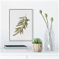 Picture of Olive Branch _GroupedProduct_Rectangle_Portrait_Canvas_Framed_