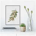 Picture of Olive Branch _GroupedProduct_Rectangle_Portrait_Canvas_Framed_