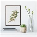 Picture of Olive Branch _GroupedProduct_Rectangle_Portrait_Canvas_Framed_