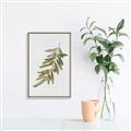 Picture of Olive Branch _GroupedProduct_Rectangle_Portrait_Canvas_Framed_