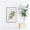 Picture of Olive Branch _GroupedProduct_Rectangle_Portrait_Canvas_Framed_