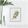 Picture of Olive Branch _GroupedProduct_Rectangle_Portrait_Canvas_Framed_