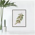 Picture of Olive Branch _GroupedProduct_Rectangle_Portrait_Canvas_Framed_