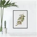 Picture of Olive Branch _GroupedProduct_Rectangle_Portrait_Canvas_Framed_