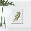 Picture of Olive Branch _GroupedProduct_Rectangle_Portrait_Canvas_Framed_