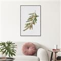 Picture of Olive Branch _GroupedProduct_Rectangle_Portrait_Canvas_Framed_