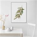 Picture of Olive Branch _GroupedProduct_Rectangle_Portrait_Canvas_Framed_