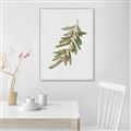 Picture of Olive Branch _GroupedProduct_Rectangle_Portrait_Canvas_Framed_