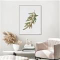 Picture of Olive Branch _GroupedProduct_Rectangle_Portrait_Canvas_Framed_