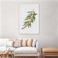 Picture of Olive Branch _GroupedProduct_Rectangle_Portrait_Canvas_Framed_