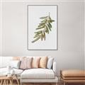 Picture of Olive Branch _GroupedProduct_Rectangle_Portrait_Canvas_Framed_