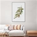 Picture of Olive Branch _GroupedProduct_Rectangle_Portrait_Canvas_Framed_