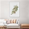 Picture of Olive Branch _GroupedProduct_Rectangle_Portrait_Canvas_Framed_