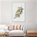 Picture of Olive Branch _GroupedProduct_Rectangle_Portrait_Canvas_Framed_