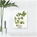 Picture of Golden Greens I _GroupedProduct_Rectangle_Portrait_Unframed_Print_Only_