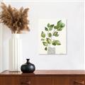 Picture of Golden Greens I _GroupedProduct_Rectangle_Portrait_Unframed_Print_Only_