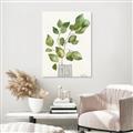 Picture of Golden Greens I _GroupedProduct_Rectangle_Portrait_Unframed_Print_Only_