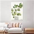 Picture of Golden Greens I _GroupedProduct_Rectangle_Portrait_Unframed_Print_Only_