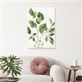 Picture of Golden Greens II _GroupedProduct_Rectangle_Portrait_Unframed_Print_Only_