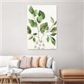 Picture of Golden Greens II _GroupedProduct_Rectangle_Portrait_Unframed_Print_Only_