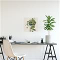 Picture of Plant in Black Pot I _GroupedProduct_Square_Unframed_Print_Only_