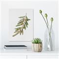 Picture of Olive Branch _GroupedProduct_Rectangle_Portrait_Unframed_Print_Only_