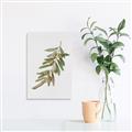 Picture of Olive Branch _GroupedProduct_Rectangle_Portrait_Unframed_Print_Only_