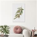 Picture of Olive Branch _GroupedProduct_Rectangle_Portrait_Unframed_Print_Only_