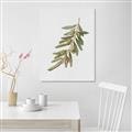 Picture of Olive Branch _GroupedProduct_Rectangle_Portrait_Unframed_Print_Only_