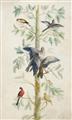 Picture of Six Birds _GroupedProduct_Rectangle_Portrait_Unframed_Print_Only_