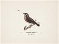 Picture of Wood Lark Bird _GroupedProduct_Rectangle_Landscape_Unframed_Print_Only_