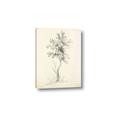 Picture of Tall Tree II _GroupedProduct_Rectangle_Portrait_Canvas_
