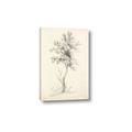 Picture of Tall Tree II _GroupedProduct_Rectangle_Portrait_Canvas_