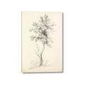 Picture of Tall Tree II _GroupedProduct_Rectangle_Portrait_Canvas_