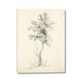 Picture of Tall Tree II _GroupedProduct_Rectangle_Portrait_Canvas_