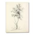 Picture of Tall Tree II _GroupedProduct_Rectangle_Portrait_Canvas_