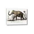 Picture of Indian Elephant _GroupedProduct_Rectangle_Landscape_Canvas_
