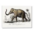 Picture of Indian Elephant _GroupedProduct_Rectangle_Landscape_Canvas_