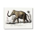 Picture of Indian Elephant _GroupedProduct_Rectangle_Landscape_Canvas_