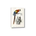 Picture of Feathered Friends _GroupedProduct_Rectangle_Portrait_Canvas_