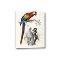 Picture of Feathered Friends _GroupedProduct_Rectangle_Portrait_Canvas_