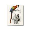 Picture of Feathered Friends _GroupedProduct_Rectangle_Portrait_Canvas_
