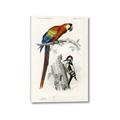 Picture of Feathered Friends _GroupedProduct_Rectangle_Portrait_Canvas_