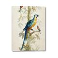 Picture of Five Birds _GroupedProduct_Rectangle_Portrait_Canvas_