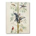 Picture of Six Birds _GroupedProduct_Rectangle_Portrait_Canvas_