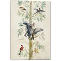 Picture of Six Birds _GroupedProduct_Rectangle_Portrait_Canvas_
