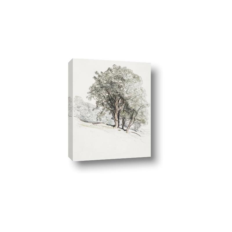 Picture of Trees on a Hill _GroupedProduct_Rectangle_Portrait_Canvas_