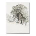 Picture of Trees on a Hill _GroupedProduct_Rectangle_Portrait_Canvas_