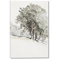 Picture of Trees on a Hill _GroupedProduct_Rectangle_Portrait_Canvas_